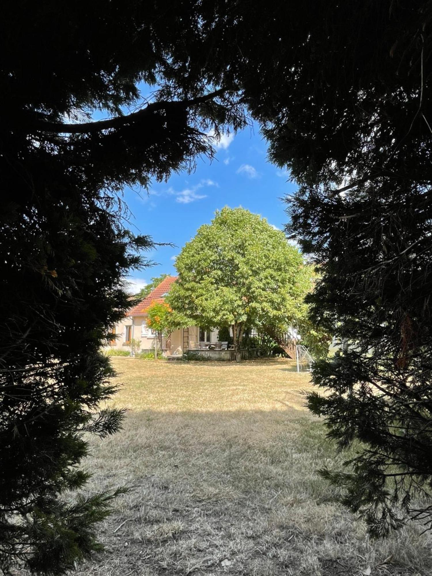 Le Clos Des Trois Provinces, Zoo De Beauval Noyers-sur-Cher Eksteriør billede